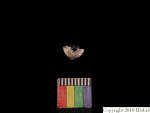 L_V23d1083 J1q456.1 Ux04 dM f151